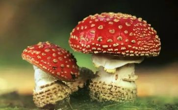 禁毒社区活动总结5篇