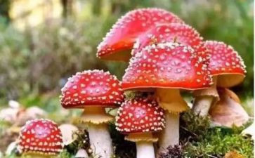 禁毒宣传心得体会300优秀5篇