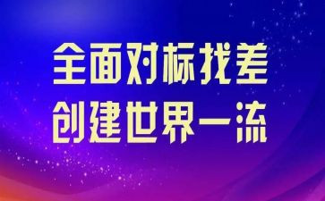 企业对标调查报告模板5篇