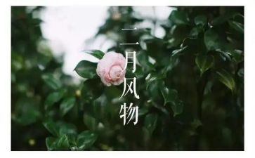 十二月工作总结范文6篇