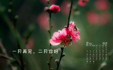 大二月总结7篇