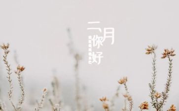 二月中班工作总结8篇