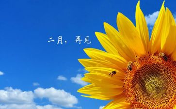 中班二月工作总结6篇