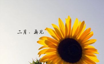 大二月总结参考8篇