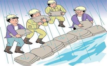 防汛救灾心得体会优质5篇