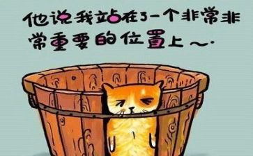 天工作总结与反思范文8篇