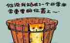 天工作总结与反思范文8篇