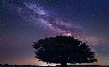 繁星六九读后感优质8篇