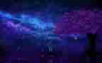 繁星作文600字6篇