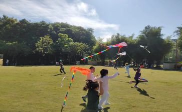 追风筝心得体会5篇