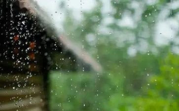 风雨的教案6篇