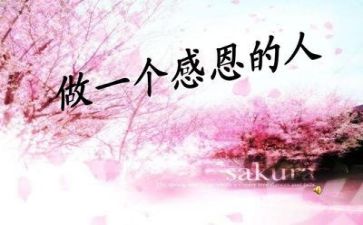 感恩的心得体会800通用6篇