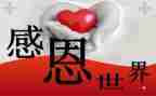 感恩老师的讲话稿5篇