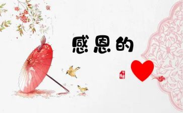 我很感激她作文8篇