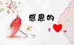我很感激她作文8篇