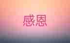 我最感激的人,作文模板5篇