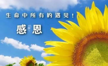 我最感谢人作文6篇