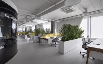公司上半年工作总结5篇