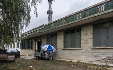 2024年县供销社工作总结7篇