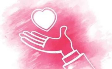 公益岗自查报告模板7篇