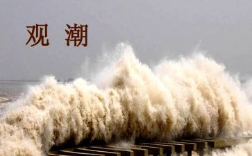 四年级观潮读后感精选8篇