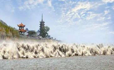 四年级观潮读后感5篇