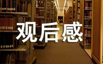 生命至上观后感8篇