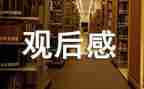 2024警示片观后感心得6篇
