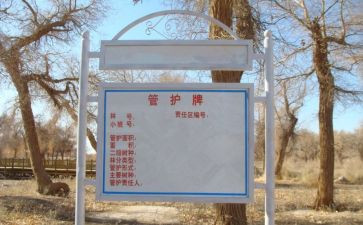 主管护师个人总结7篇