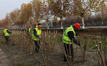 聘主管护士述职报告6篇