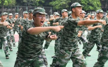 观训心得体会500字推荐5篇