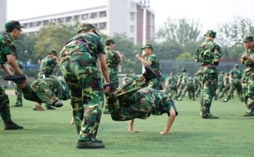 观训自我鉴定300字8篇