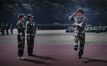 观训心得体会200字最新8篇