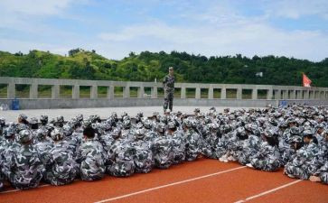观训心得体会400字最新8篇