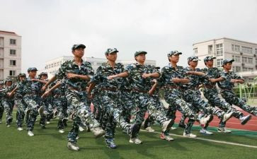 观训心得体会500字8篇