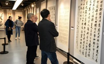 观展总结报告优秀7篇