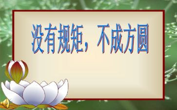 政治纪律和政治规矩的心得体会5篇