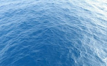 海丝文化心得体会参考6篇