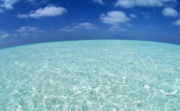 《看海》读后感5篇