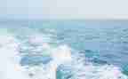 海丝文化心得体会优秀6篇