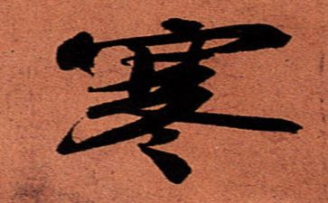 大学生寒假社会实践报告范文1500字7篇