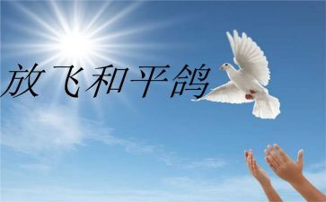 关于和平读后感7篇