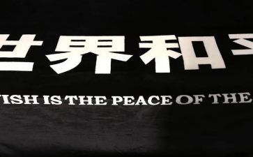 和平战争读后感5篇