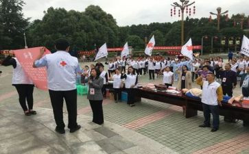 到红十字会工作总结5篇