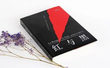 红与黑心得体会600字7篇