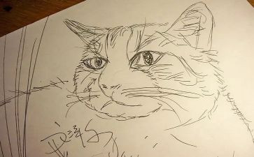 古诗《画》教案通用8篇
