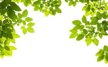 环保类活动心得体会6篇