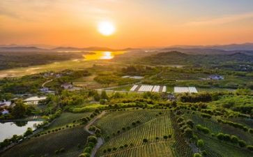 关于环境调查的作文6篇