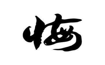 不后悔的作文精选5篇