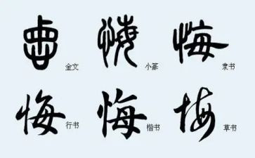 观看贪与悔观后感模板6篇